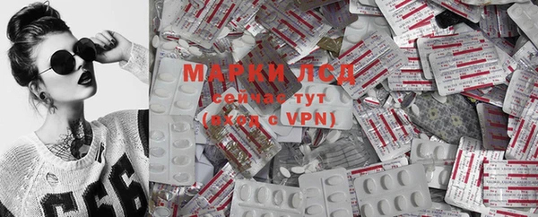 PSILOCYBIN Абдулино