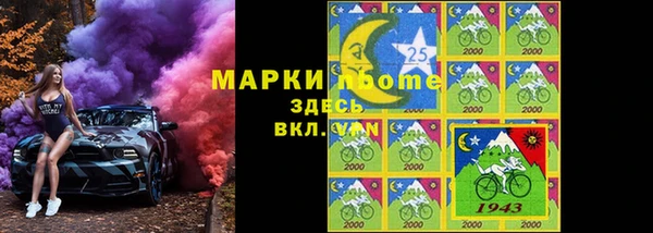 ПСИЛОЦИБИНОВЫЕ ГРИБЫ Гусев